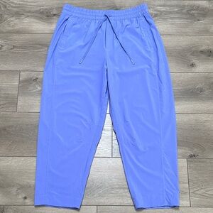 Athleta Arrival Mid Rise Casual Ankle Pants Dark Adonis Lilac Pants‎ Size 12